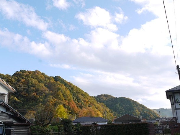 20101130004