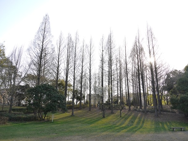 20110501007