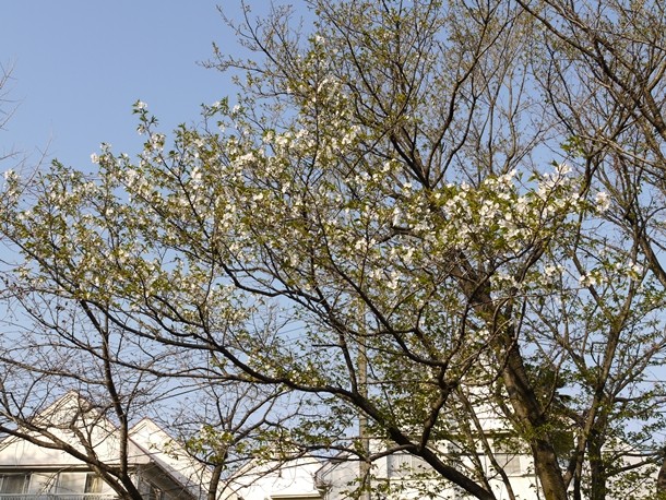 20110501008