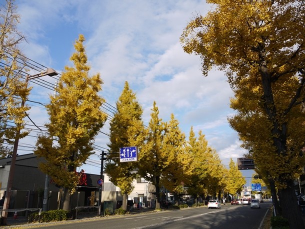 20101130001