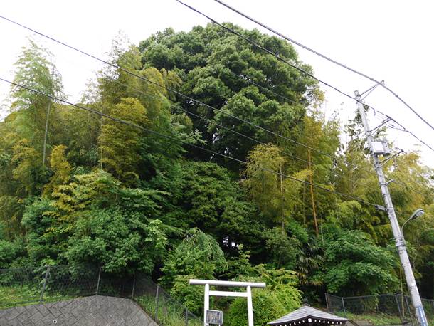 20100628_3007