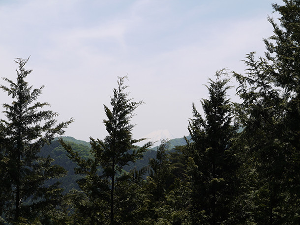 P1060840