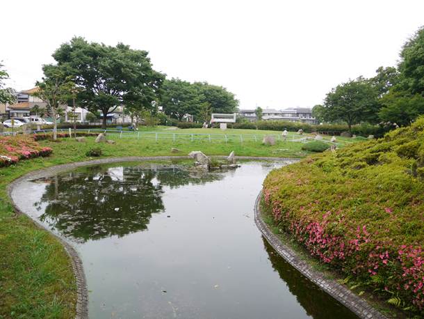 201006243008