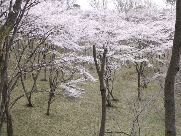 20110421004