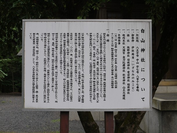 20101103002