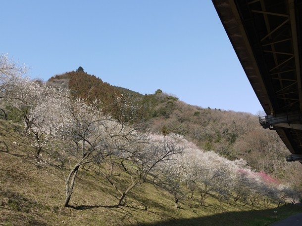 20110326_2009