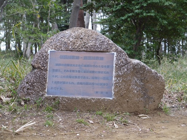 20110421011