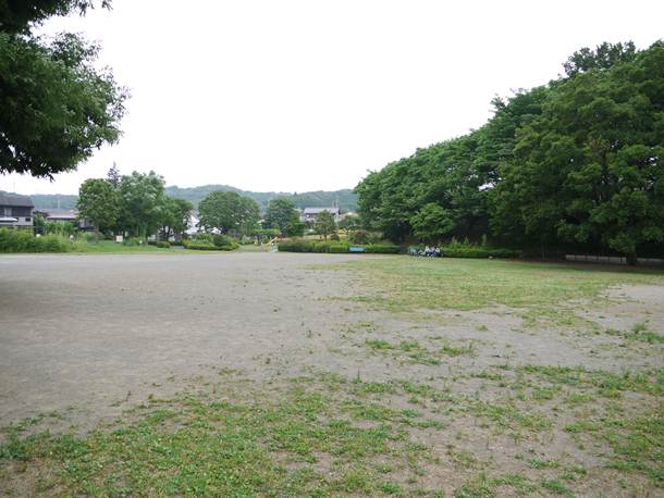 201006243007