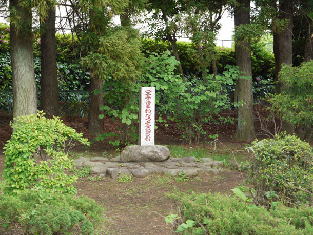 P1060769