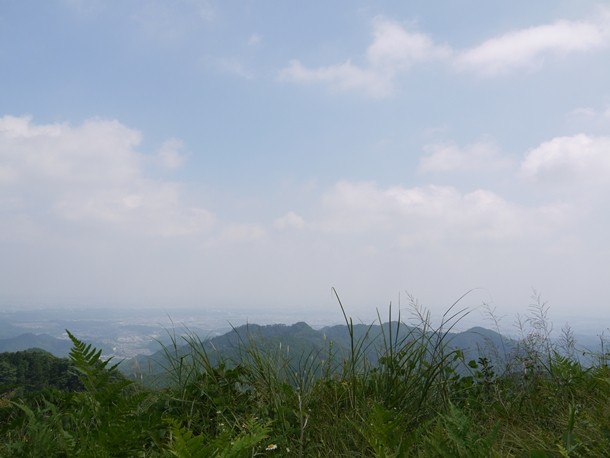 20101004012