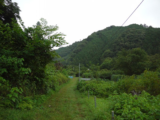 20100816003