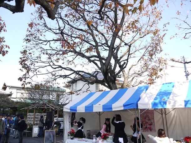 20101123003