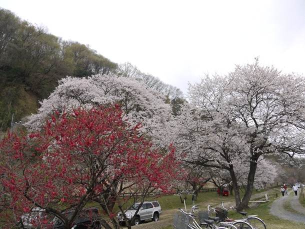20110418001