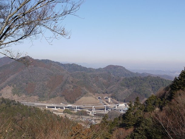 20110203005