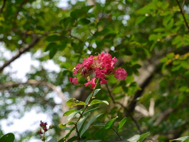 20100920017