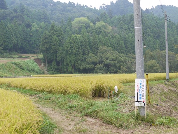 20100918001