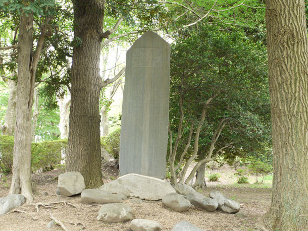 P1060782