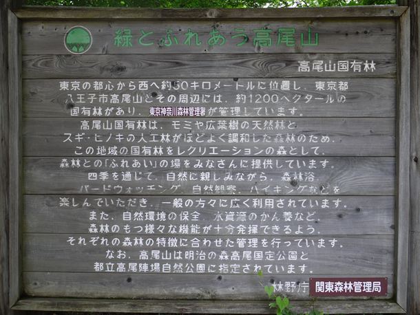 20100711005
