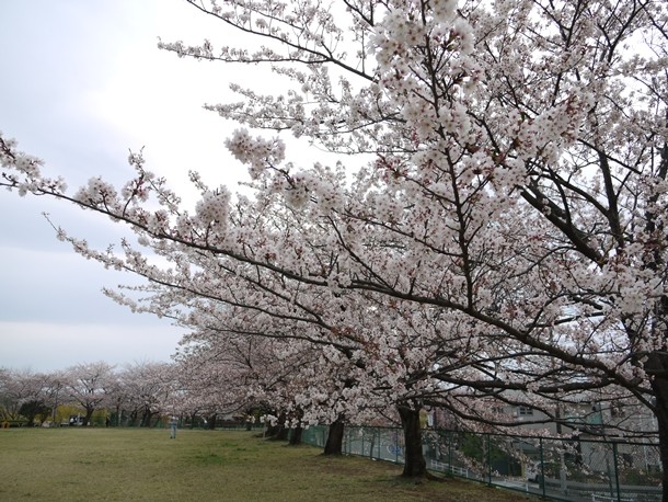 20110424002