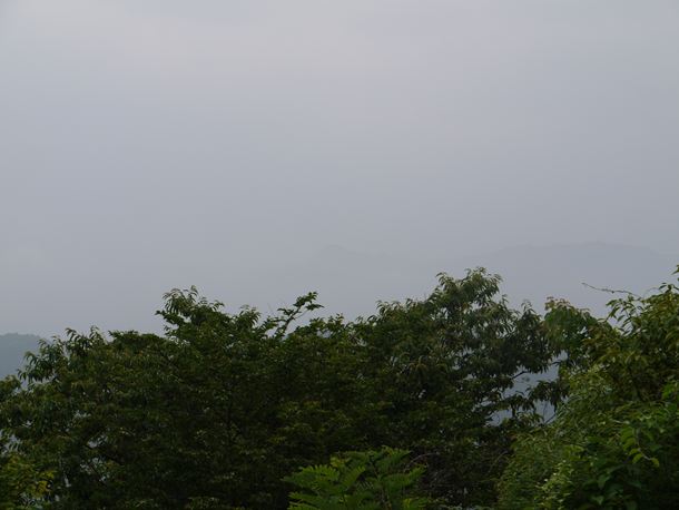 20100711012