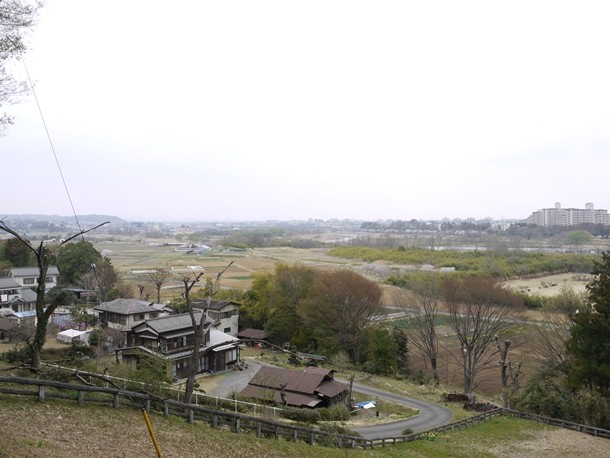 20110418009