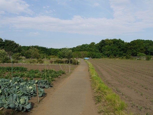20101004001