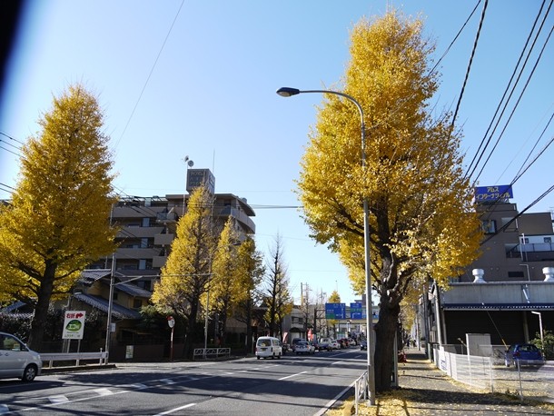 20101208000