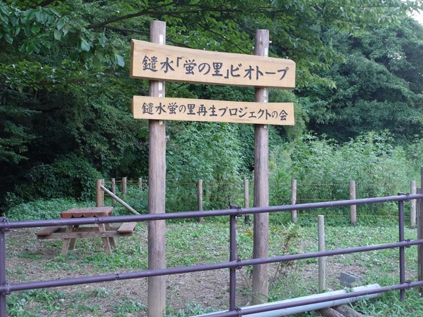 20100930009