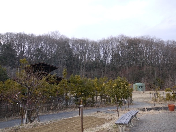 20110323005