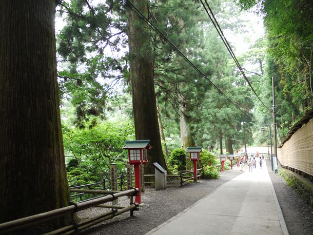 20100704_002_021