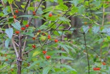 0d8c6551.jpg