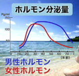 ¥Û¥ë¥â¥óʬÈçÎÌ