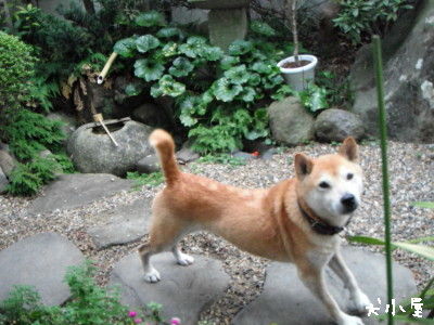 20110923 (10)