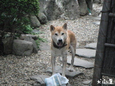 2011 0923 (1)