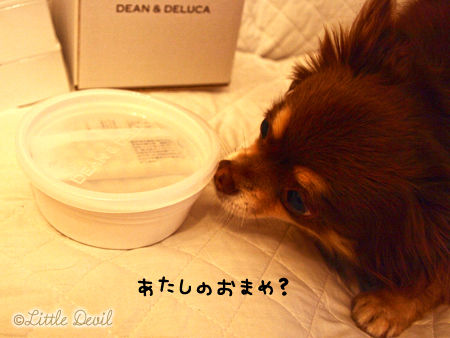 20120210-3 DEAN & DELUCA 