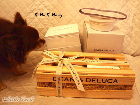 20120210-1 DEAN & DELUCA 