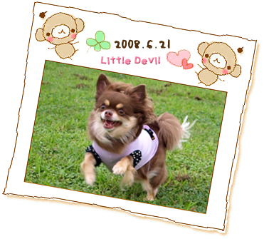 20080701-2