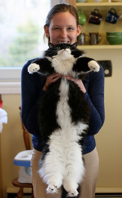 変顔 動物 犬 猫97