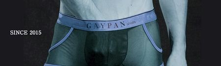 ゲイパン