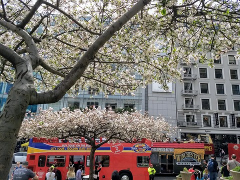 IMG_20180330_122420515