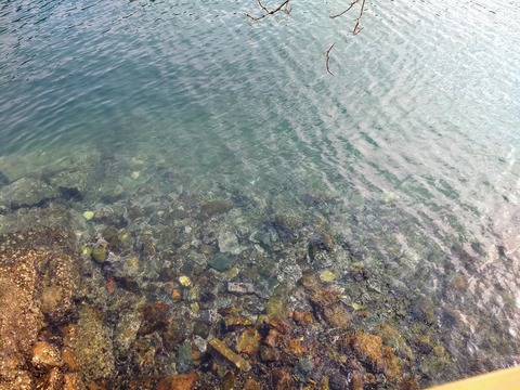 IMG_20190121_193228226