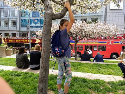 IMG_20180330_123655761