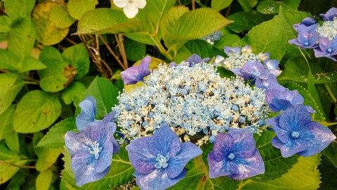 IMG_20170614_175203375