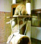 b6c50d1d.jpg
