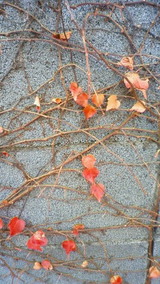 200912181204000