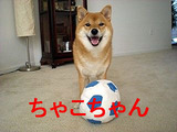 ちゃこちゃん