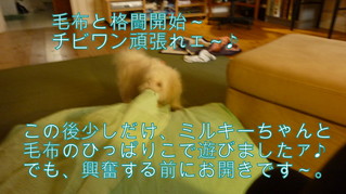 オマケ2.