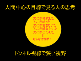 狭い視野