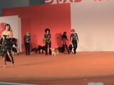 �ˡݣ������륺