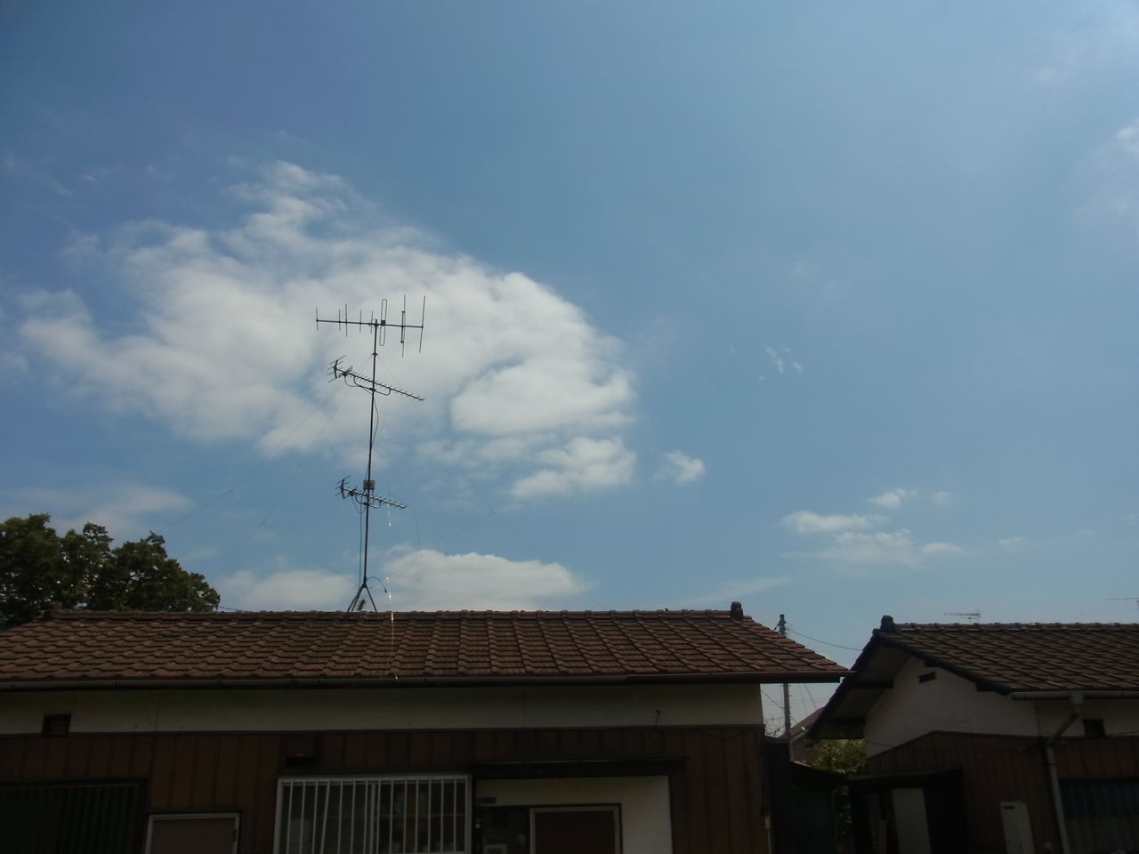 RIMG0667